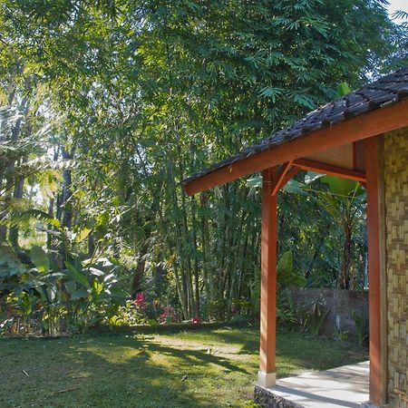 Tereng Wilis Jungle Inn Tetebatu Kültér fotó