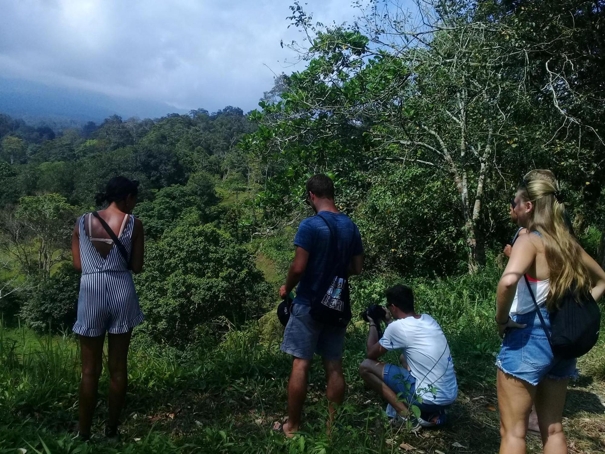 Tereng Wilis Jungle Inn Tetebatu Kültér fotó