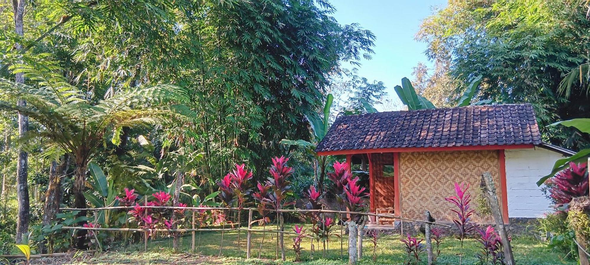 Tereng Wilis Jungle Inn Tetebatu Kültér fotó