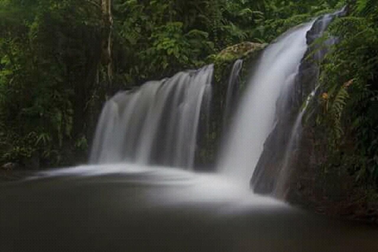 Tereng Wilis Jungle Inn Tetebatu Kültér fotó