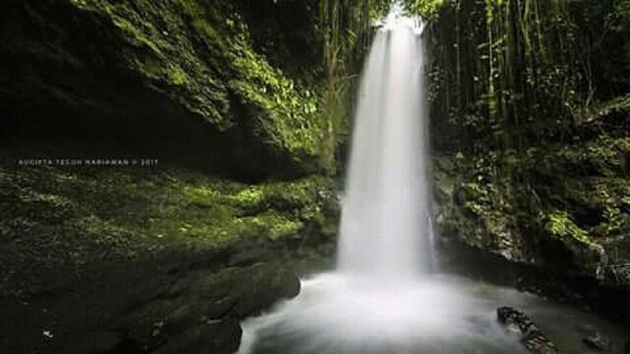 Tereng Wilis Jungle Inn Tetebatu Kültér fotó