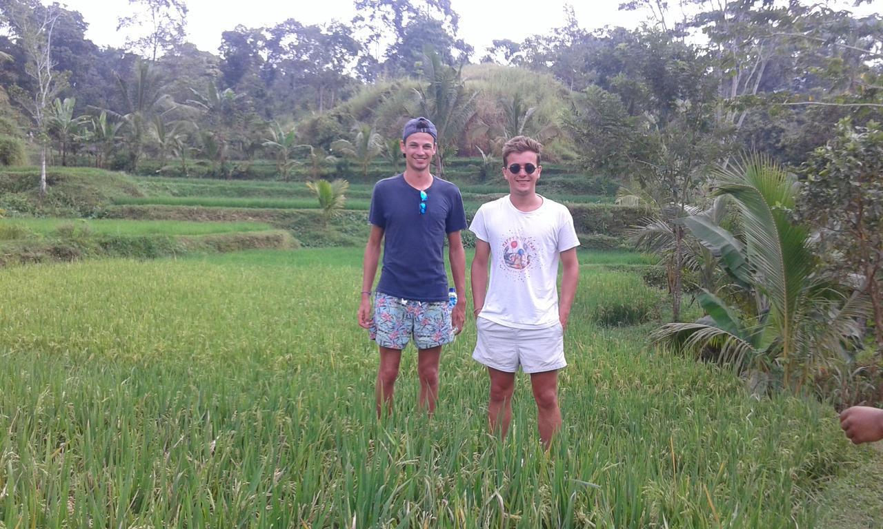 Tereng Wilis Jungle Inn Tetebatu Kültér fotó