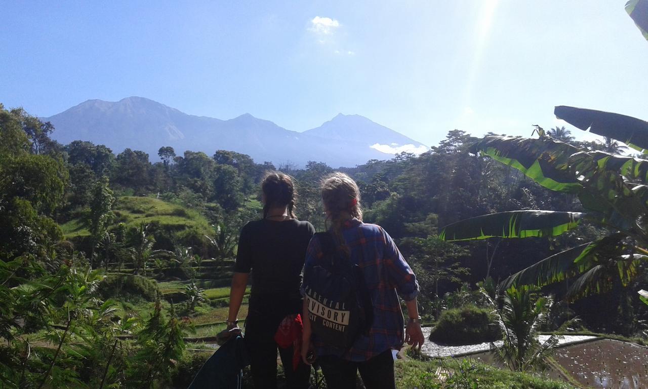 Tereng Wilis Jungle Inn Tetebatu Kültér fotó