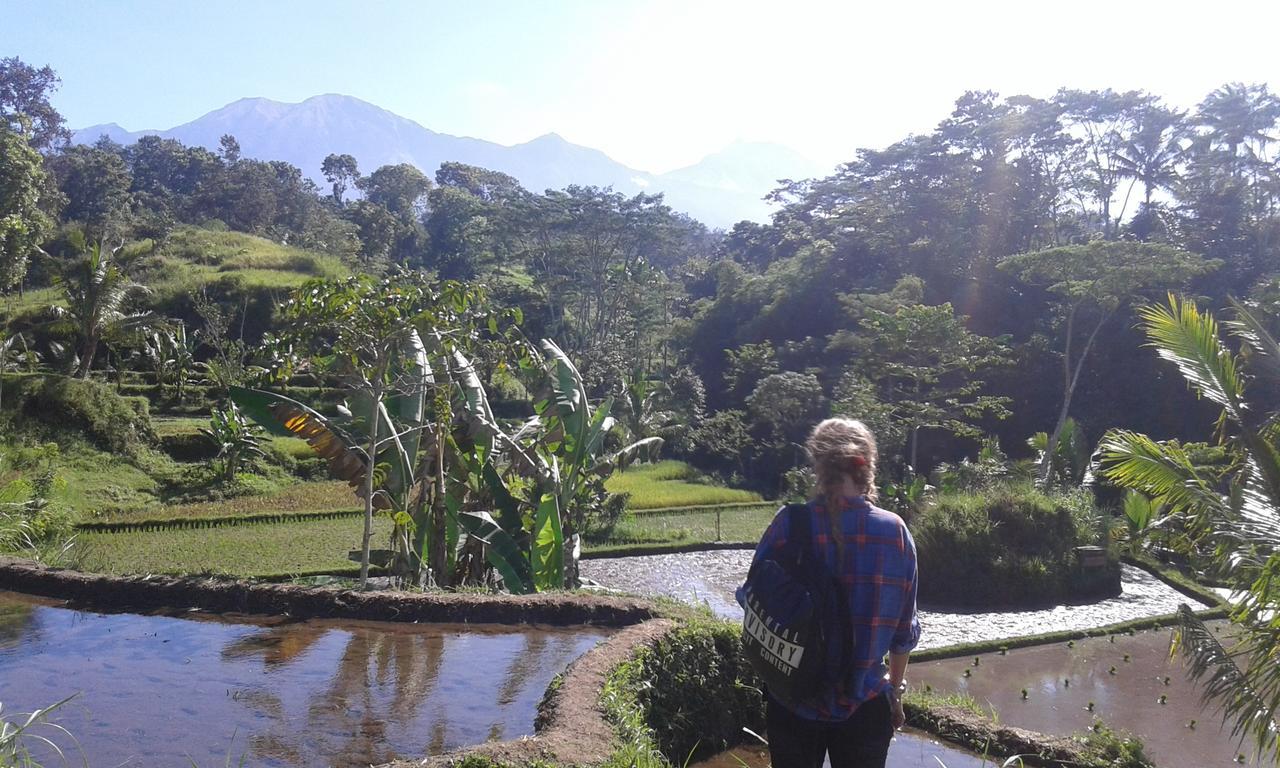 Tereng Wilis Jungle Inn Tetebatu Kültér fotó