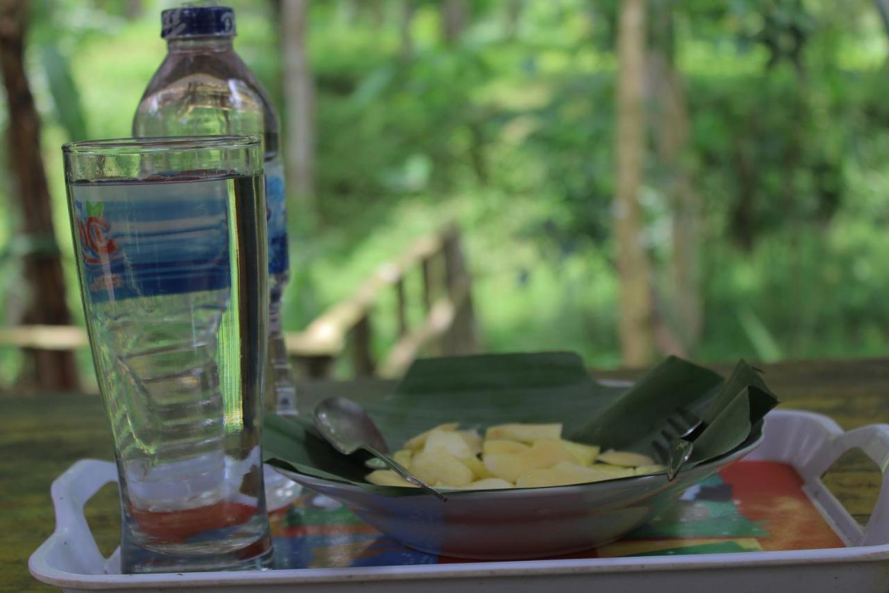Tereng Wilis Jungle Inn Tetebatu Kültér fotó