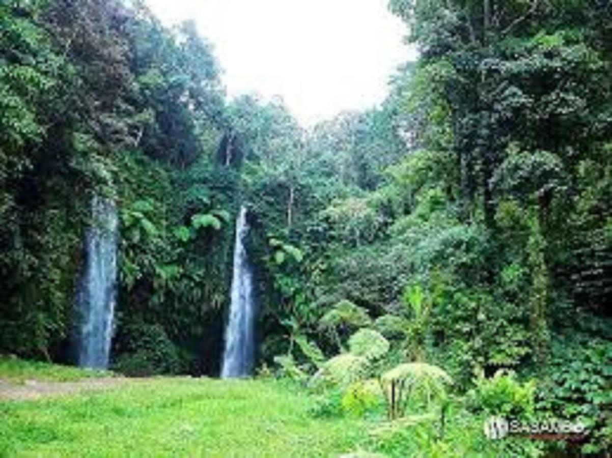 Tereng Wilis Jungle Inn Tetebatu Kültér fotó