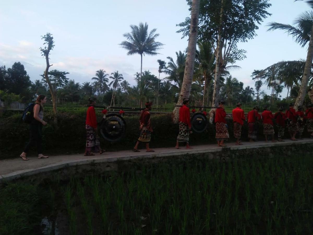 Tereng Wilis Jungle Inn Tetebatu Kültér fotó
