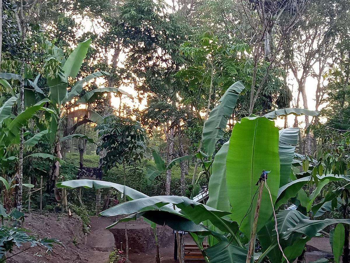 Tereng Wilis Jungle Inn Tetebatu Kültér fotó