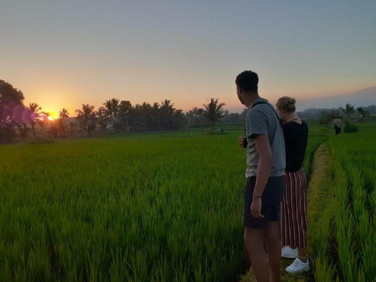 Tereng Wilis Jungle Inn Tetebatu Kültér fotó