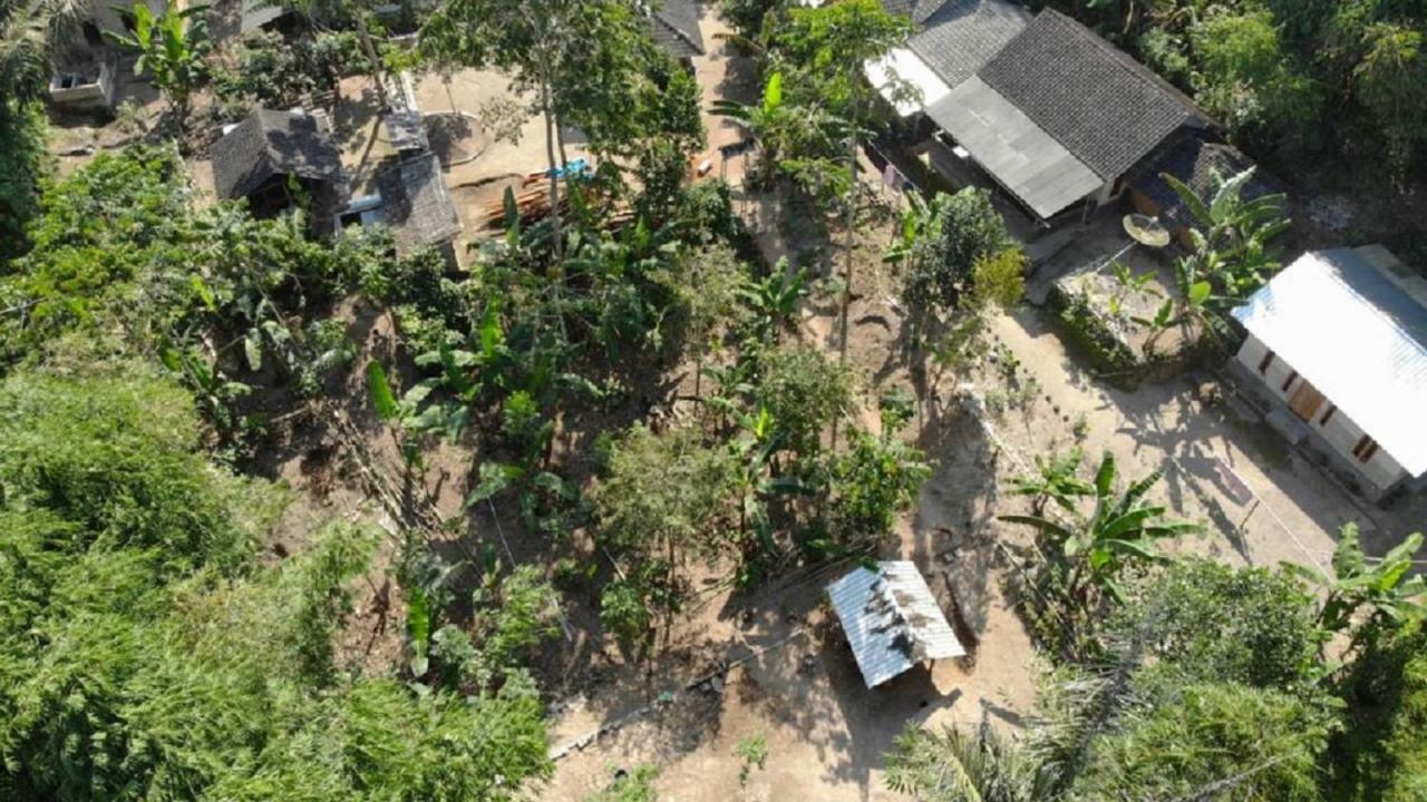 Tereng Wilis Jungle Inn Tetebatu Kültér fotó
